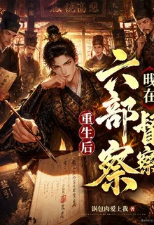 重生後我在六部搞督察 封面