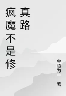 瘋魔不是修真路 封面