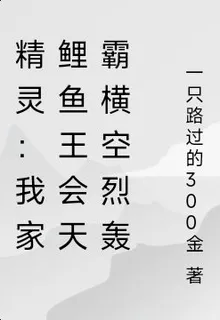 精靈：我家鯉魚王會天霸橫空烈轟 封面