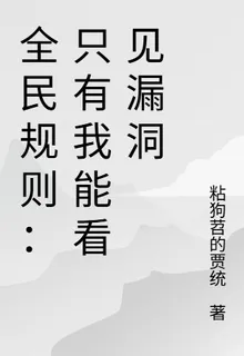 全民規則：只有我能看見漏洞 封面