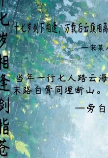 十七歲相逢劍指蒼穹 封面