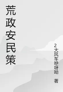 荒政安民策 封面