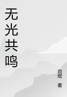 無光共鳴 封面
