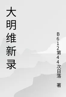 大明維新錄 封面