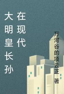 大明皇長孫在現代 封面