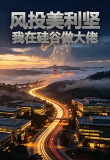 風投美利堅，我在硅谷做大佬 封面