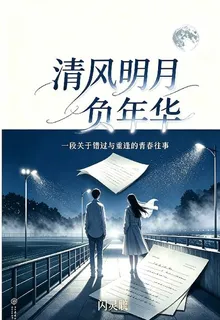 清風明月負年華 封面