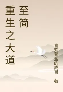 重生之大道至簡 封面