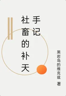 社畜的補天手記 封面