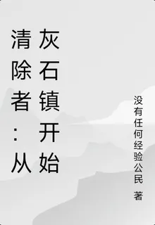 清除者：從灰石鎮開始 封面