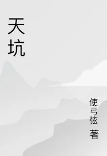 天坑 封面