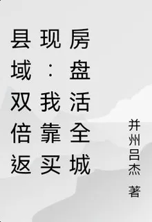 縣域雙倍返現：我靠買房盤活全城 封面