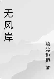 無風岸 封面