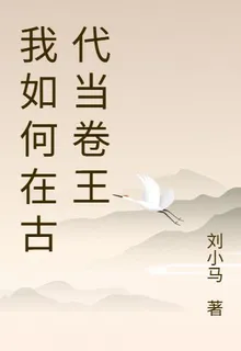 我如何在古代當卷王 封面