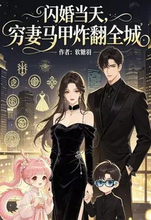 閃婚當天，窮妻馬甲炸翻全城 封面