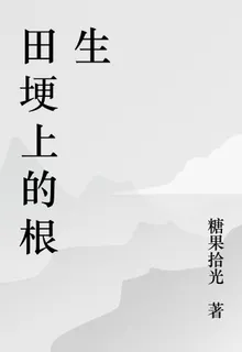 田埂上的根生 封面