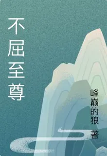 不屈至尊 封面