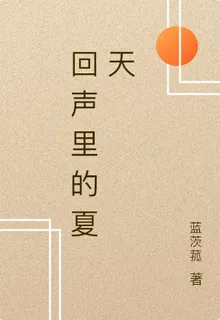 回聲裏的夏天 封面