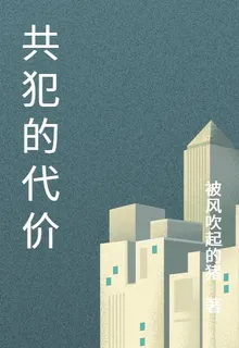 共犯的代價 封面