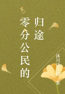 零分公民的歸途 封面