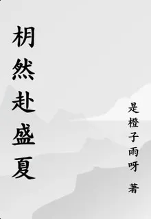 枂然赴盛夏 封面