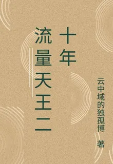 流量天王二十年 封面