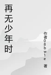 再無少年時 封面