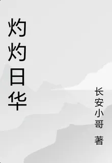 灼灼日華 封面