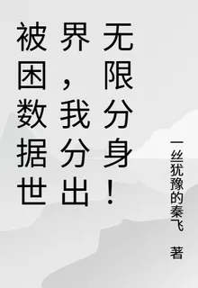 被困數據世界，我分出無限分身！ 封面