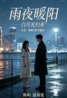 雨夜暖陽之白月光歸來 封面
