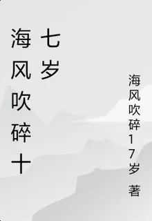 海風吹碎十七歲 封面