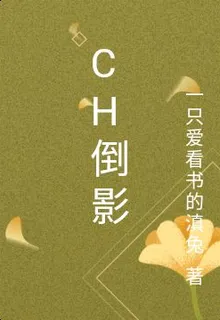 Ch倒影 封面