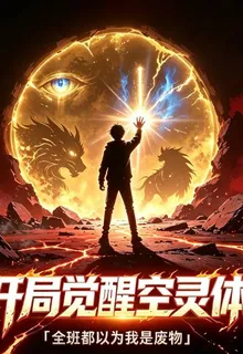 開局覺醒空靈體 封面