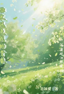 你永遠是我的青春 封面