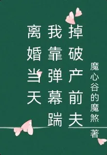 離婚當天，我靠彈幕踹掉破產前夫 封面