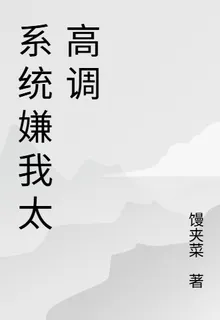 系統嫌我太高調 封面