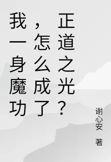 我一身魔功，怎麼成了正道之光？ 封面