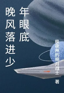 那年晚風偏愛他 封面