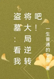 盜墓：看我將大局逆轉吧！ 封面