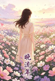 晚流年 封面