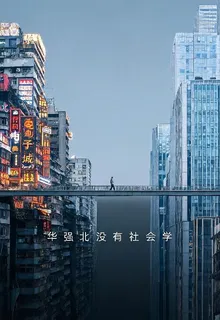 華強北沒有社會學 封面