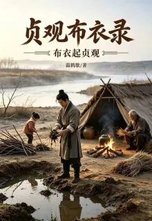 貞觀布衣錄 封面