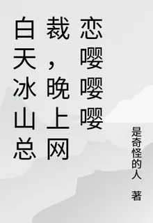 白天冰山總裁，晚上網戀嚶嚶嚶 封面