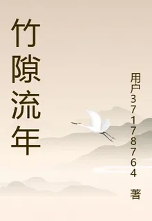 竹隙流年 封面