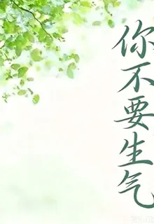 你不要生氣【驚顏】 封面