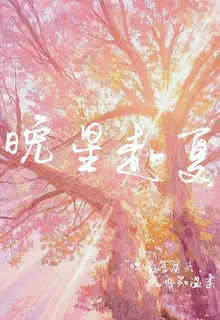 晚星赴夏 封面