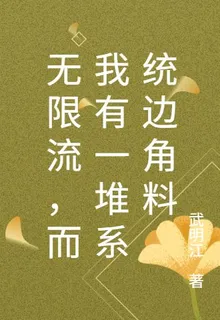 無限流，而我有一堆系統邊角料 封面
