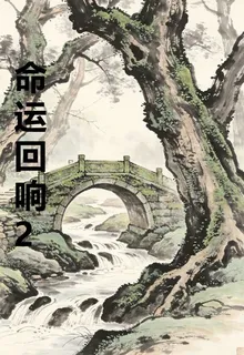 命運回響2 封面