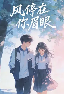 風停在你眉眼 封面
