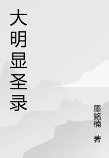 大明顯聖錄 封面